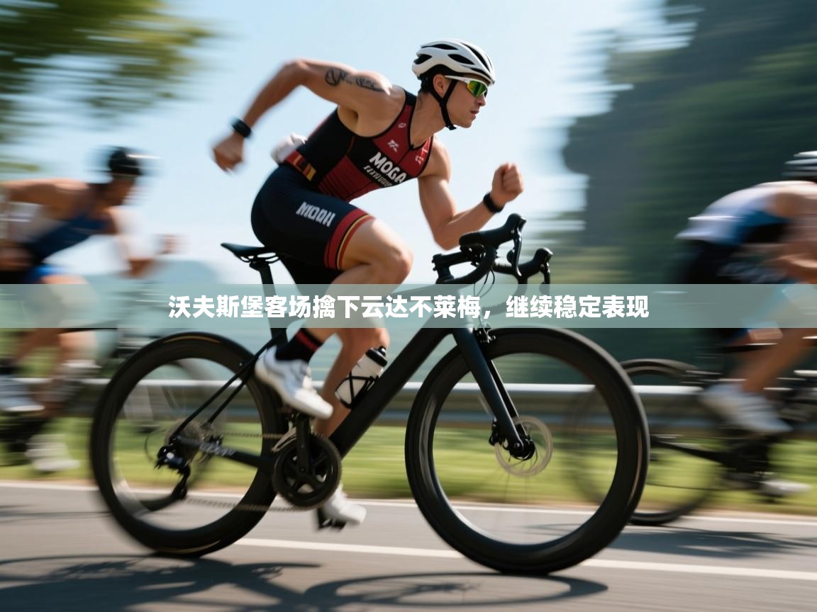 沃夫斯堡客场擒下云达不莱梅,继续稳定表现 第1张