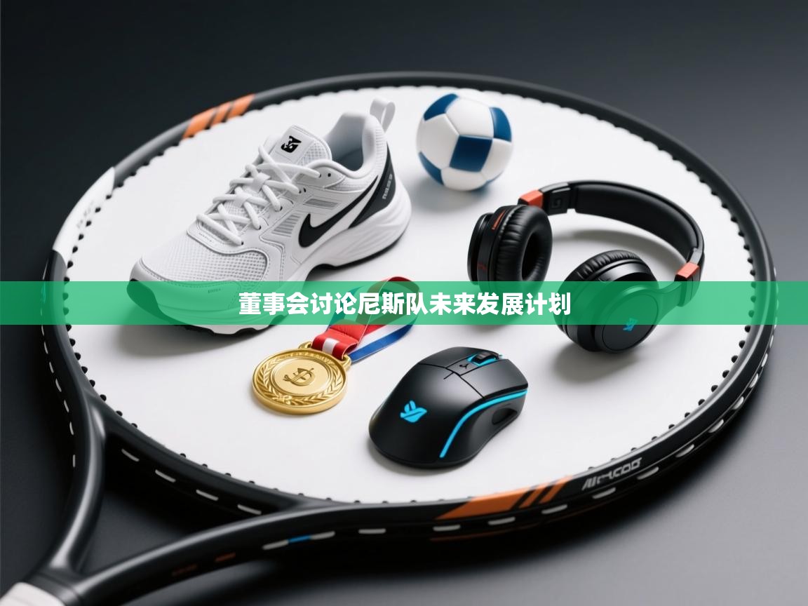 董事会讨论尼斯队未来发展计划  第2张